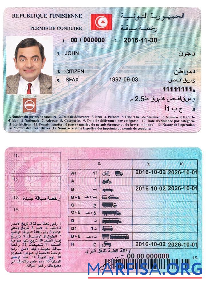 Downloadable Tunisia driving license example